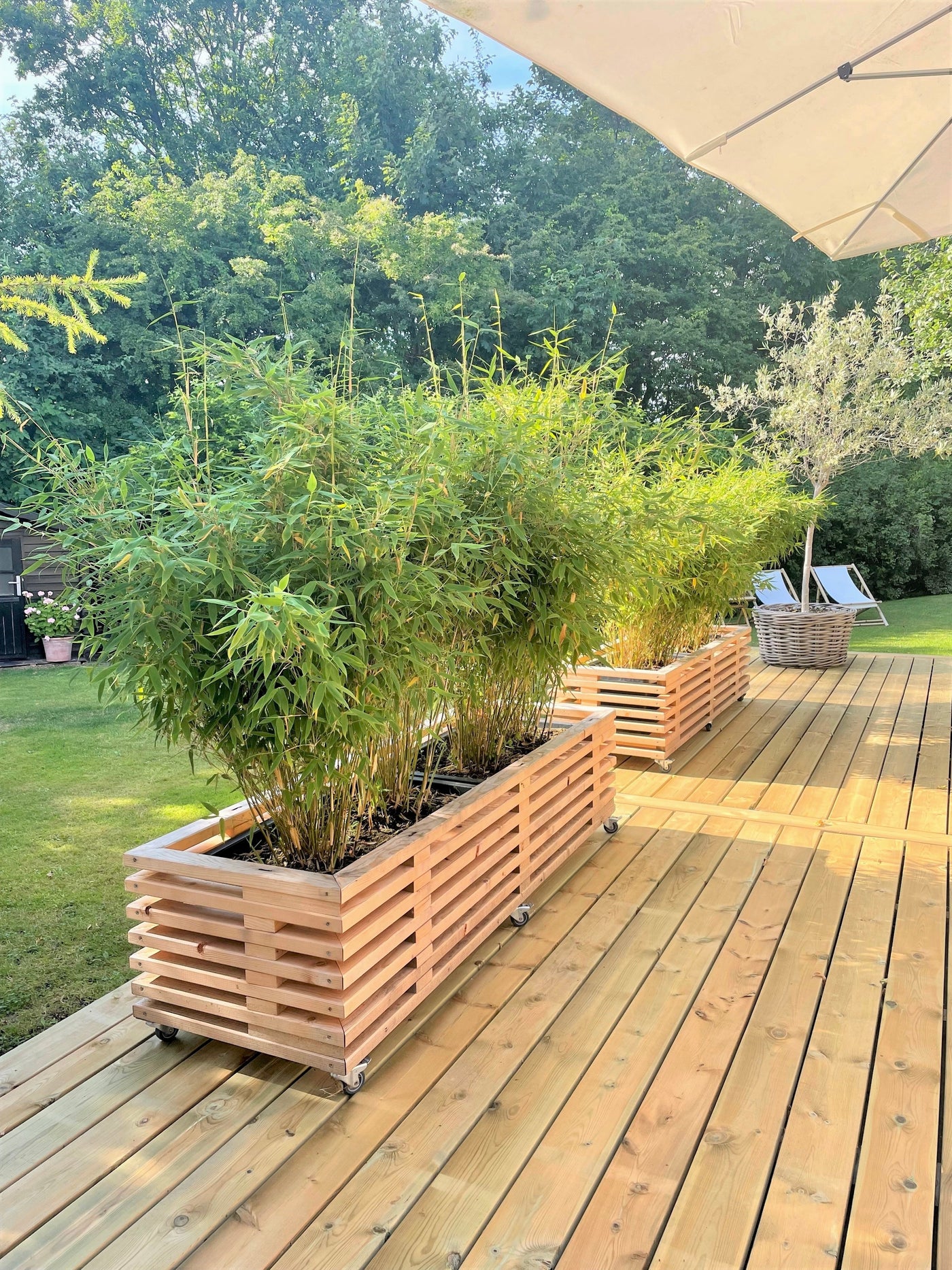 Plantekasse af traller med grønne planter på træ terrasse