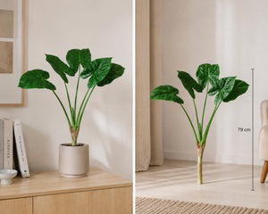 Plante Alocasia Grøn | 79 cm