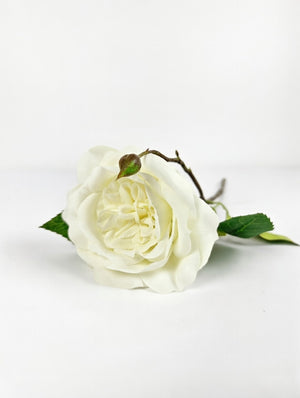 Rose | Hvid, 45 cm