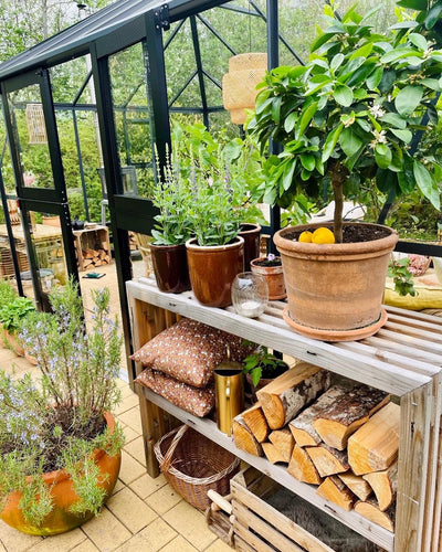 Plantebord af Brugte Traller