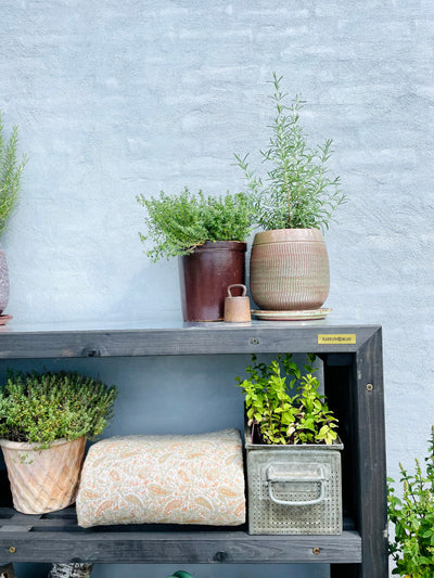 Plantebord af Traller | Sortbejdset