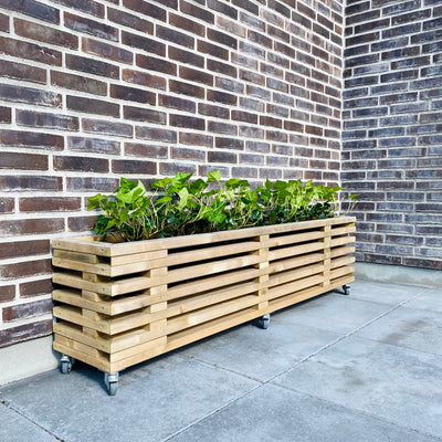 Blomsterkasse af brugte traller plantet med grønne planter