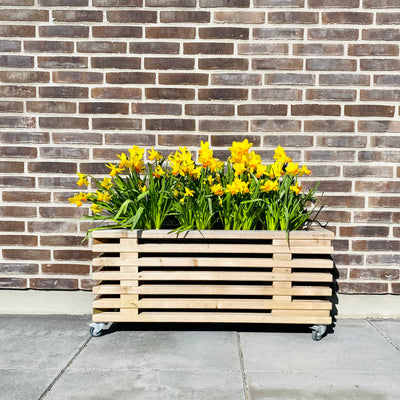 lille blomsterkasse med blomster