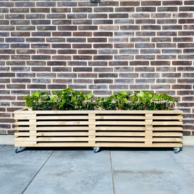 Blomsterkasse af Brugte Traller