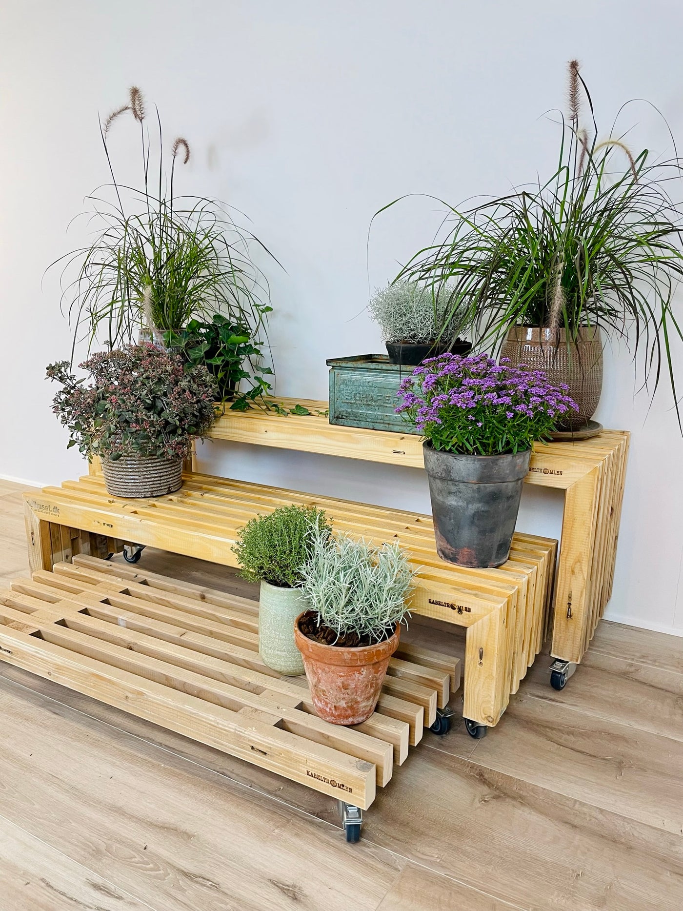 Plantetrappe af Brugte Traller