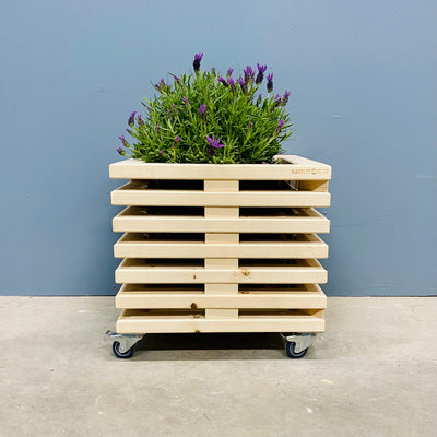 Blomsterskjuler af Nye Traller