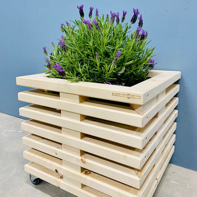 Blomsterskjuler af Nye Traller