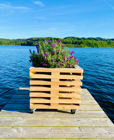 Blomsterskjuler af Brugte Traller