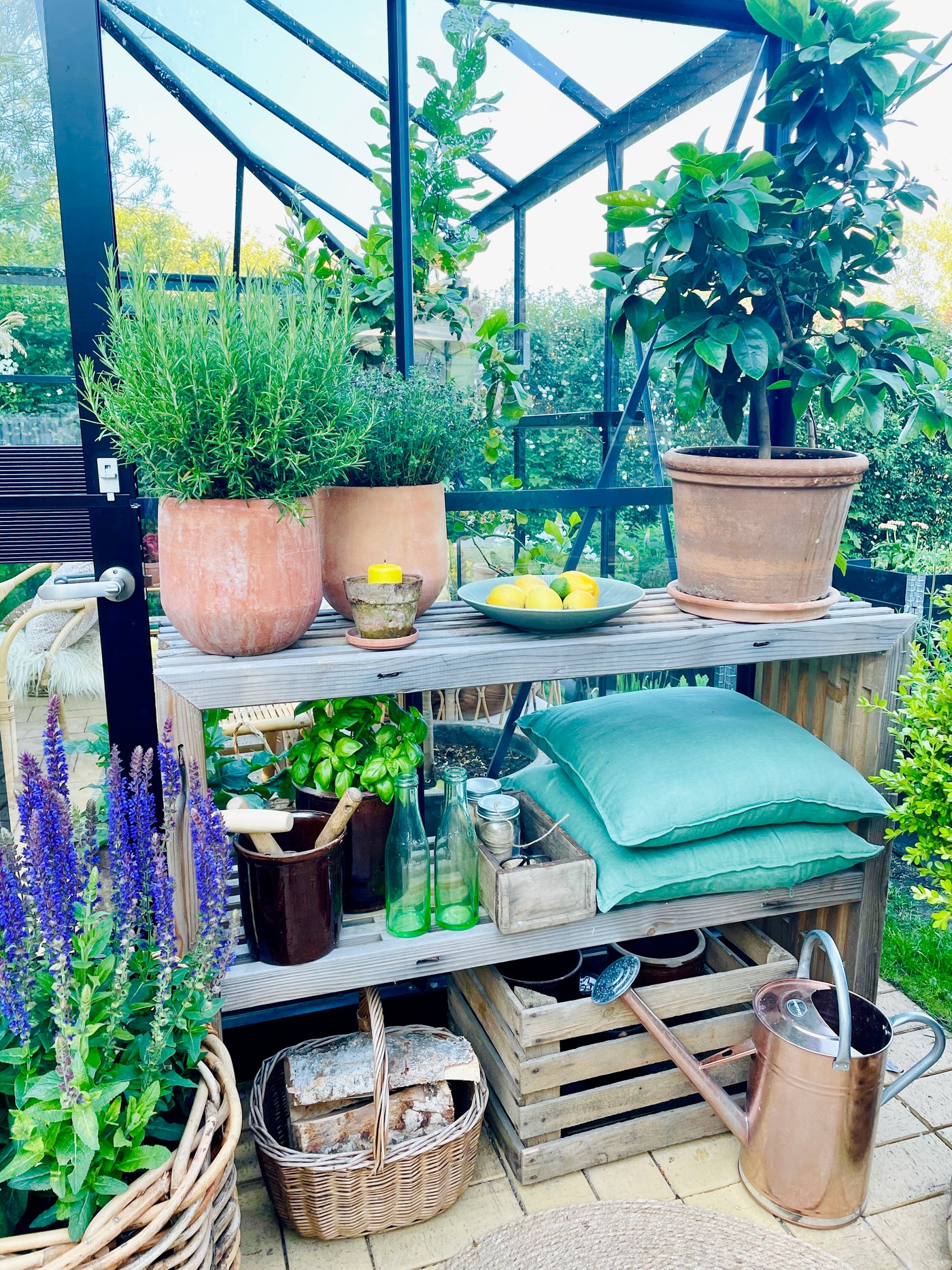 Plantebord af Brugte Traller