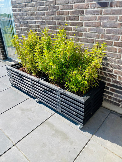 Plantekasse af Traller | Sortbejdset